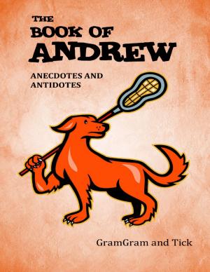Cover of the book The Book of Andrew: Anecdotes and Antidotes by Joseph C. Maroon, MD, FACS, Jeff Bost, PAC
