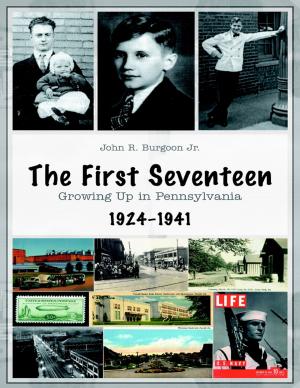 Cover of the book The First Seventeen: Growing Up In Pennsylvania, 1924–1941 by Karin Jenkins