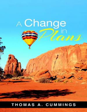 Cover of the book A Change In Plans by Clint Edwards
