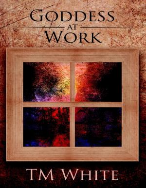 Cover of the book Goddess At Work by Gazmend Ceno