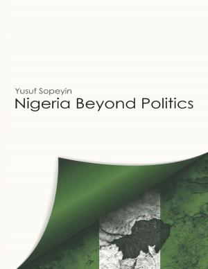Cover of the book Nigeria Beyond Politics by Robert Weltman, PhD