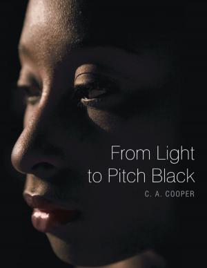 Cover of the book From Light to Pitch Black by Chris Umpierre