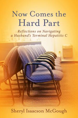 Cover of the book Now Comes the Hard Part by V. L. Eriksen