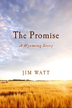 Cover of the book The Promise: A Wyoming Story by David J. Hetzel, MD, MBA