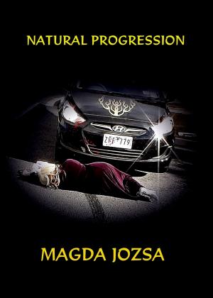 Cover of the book Natural Progression by Kaydon A. Stanzione