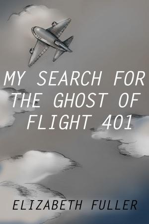 Cover of the book My Search for the Ghost of Flight 401 by Kaydon A. Stanzione
