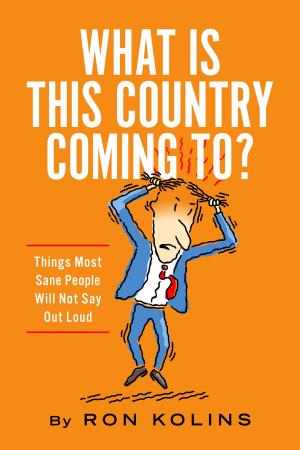 Cover of the book What Is This Country Coming To? by Tunde Sule