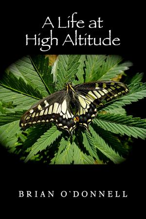 Cover of the book A Life At High Altitude by Keith R. A. DeCandido
