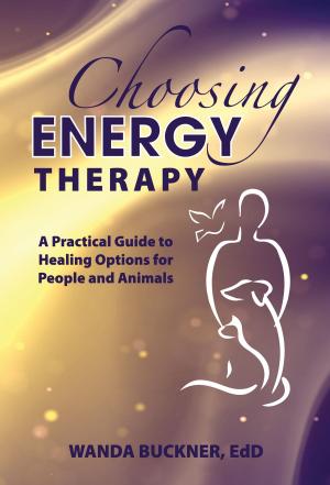 Cover of the book Choosing Energy Therapy by Odin Dupeyron