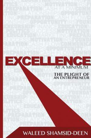 Cover of the book Excellence at a Minimum by Charles Reece