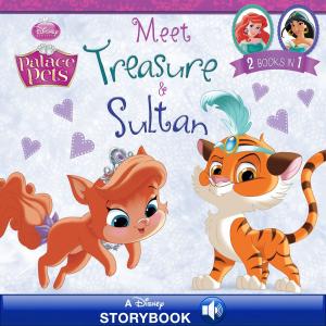 Book cover of Palace Pets: Meet Treasure and Sultan