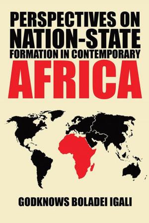 Cover of the book Perspectives on Nation-State Formation in Contemporary Africa by DC Johnson