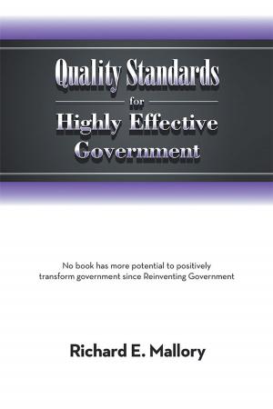 Cover of the book Quality Standards for Highly Effective Government by Ioannis Night