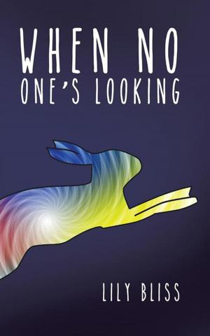 Cover of the book When No One’S Looking by Frederick W. James