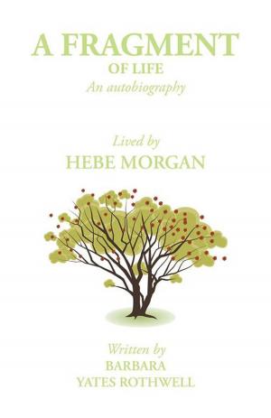 Cover of the book A Fragment of Life by J.E. Horn