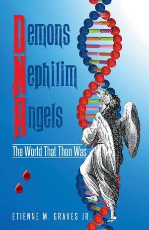 Cover of the book Demons Nephilim Angels by JB Mounteer