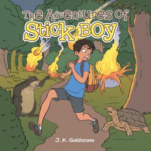 Cover of the book The Adventures of Stick Boy by Anthony M Manno Jr.