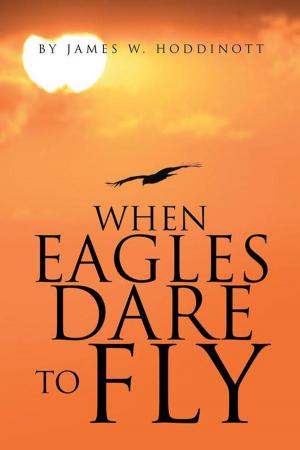Cover of the book When Eagles Dare to Fly by Smithson Buchi Ahiabuike