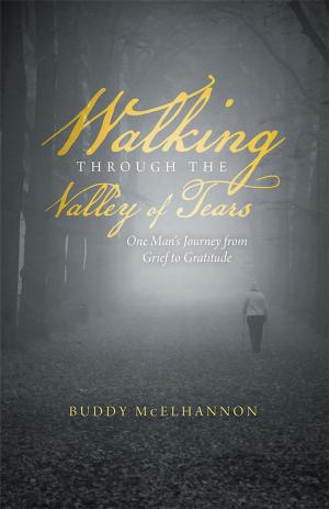 Cover of the book Walking Through the Valley of Tears by Jillian McClendon
