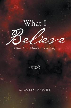 Cover of the book What I Believe by Christina McClain