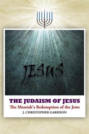 Book cover of The Judaism of Jesus