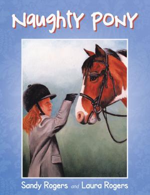 Book cover of Naughty Pony