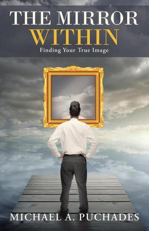 Cover of the book The Mirror Within by David E. Vitt