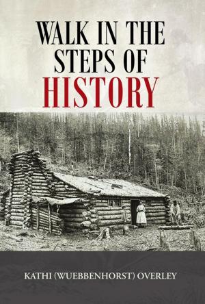 Cover of the book Walk in the Steps of History by Tom Santulli