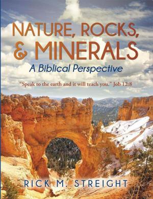 Cover of the book Nature, Rocks, and Minerals by Patricia Marks