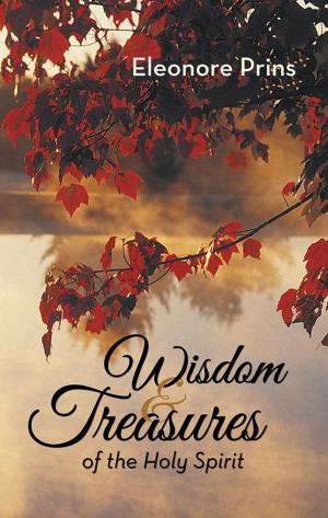 Cover of the book Wisdom and Treasures of the Holy Spirit by Pastor Israel A. Oluwagbemiga