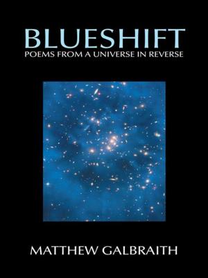 Cover of the book Blueshift by Josef N. Ferri