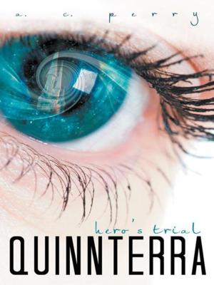 Cover of the book Quinnterra by Girad Clacy