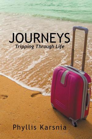 Cover of the book Journeys by Tracy Russek