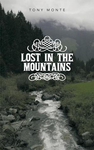 Cover of the book Lost in the Mountains by Lewis Dowell Jr.