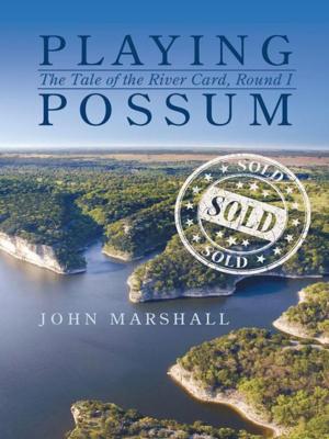 Cover of the book Playing Possum by Martha Montealegre