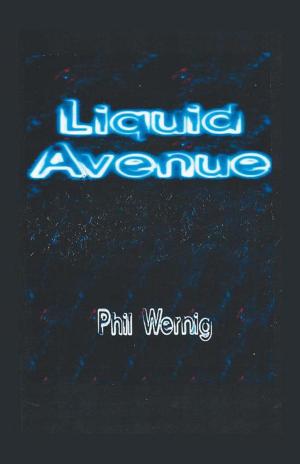 Cover of the book Liquid Avenue by Alan Jansen