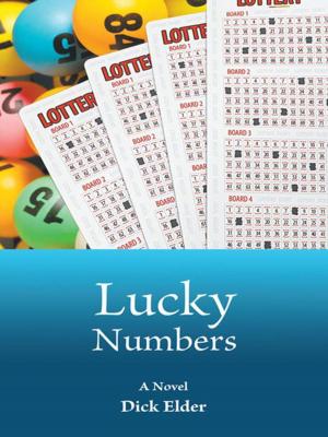 Cover of the book Lucky Numbers by Elizabeth Dawson