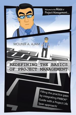Cover of the book Redefining the Basics of Project Management by Guillermo E. Vargas