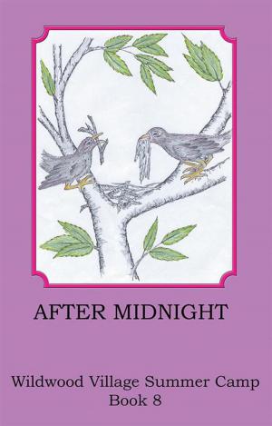 Cover of the book After Midnight by Neffe