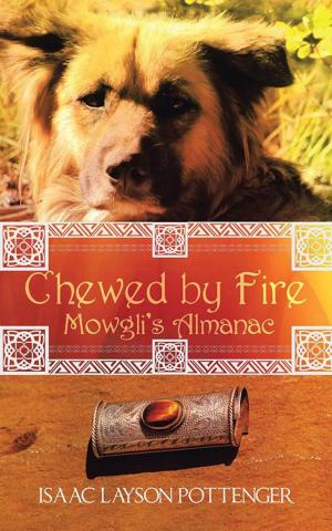 Cover of the book Chewed by Fire by Brett Kirkpatrick