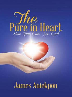 Cover of the book The Pure in Heart by Gray C. Knight