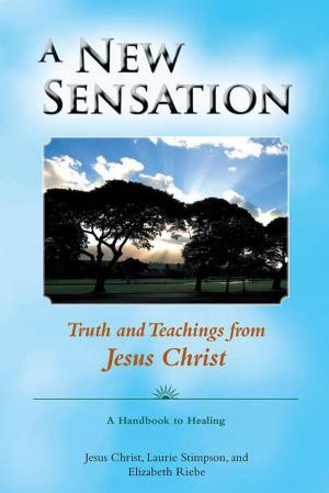 Cover of the book A New Sensation by Jonathan Goodman-Herrick, Jan Chozen Bays