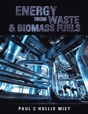 Cover of the book Energy from Waste & Biomass Fuels by Arnold A. McMahon