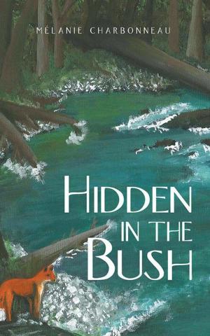 Cover of the book Hidden in the Bush by TiPi Paul