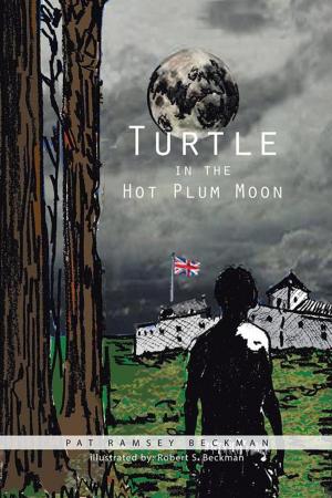 Cover of the book Turtle in the Hot Plum Moon by J.M. Davies