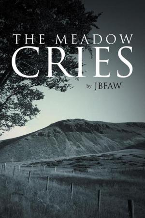 bigCover of the book The Meadow Cries by 