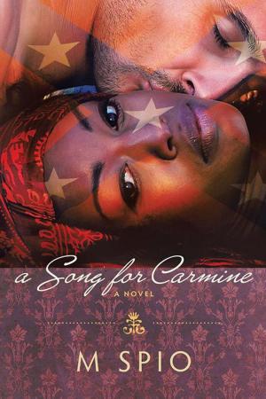 Cover of the book A Song for Carmine by aka princess neverland.