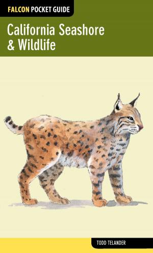 Cover of the book California Seashore & Wildlife by Jane Gildart, Jane Gildart