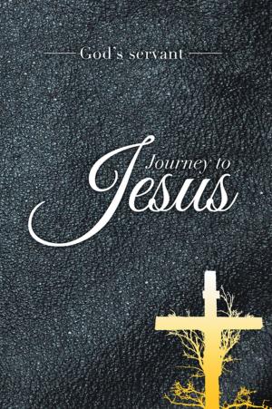 Cover of the book Journey to Jesus by Richard Orion
