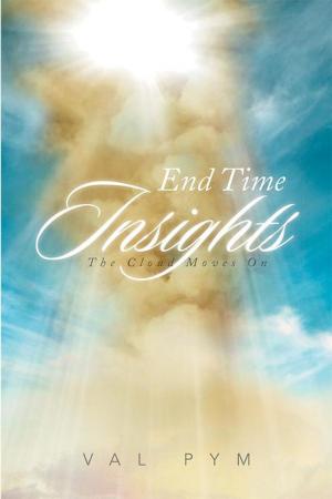 Cover of the book End Time Insights by Daniel Sykes